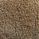 Bella Piccolo Karpet